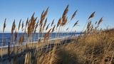 Ferienwohnung in Börgerende - Baltic Sky - In Villa Strandperle Nr.1 - Bild 21