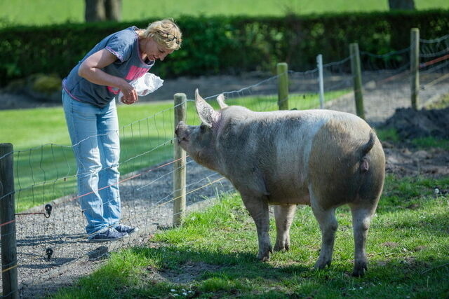 Ferienwohnung in Fehmarn OT Lemkendorf - Ferienhof Becker - Bauernliebe - Bild 5