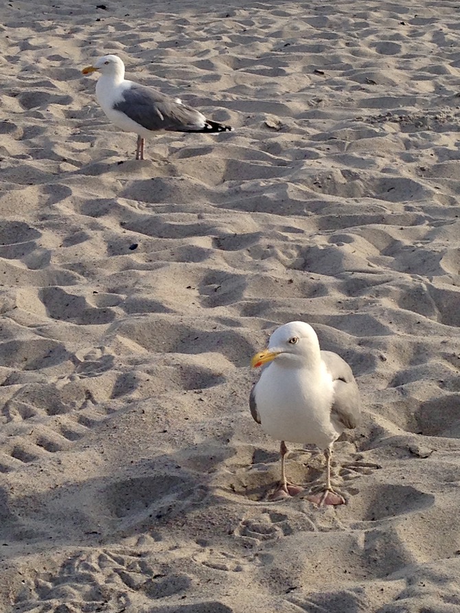 Ferienwohnung in Großenbrode - Vivaldi Wohnung Fridolin - Bild 18