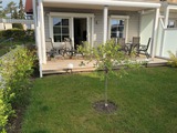 Ferienwohnung in Grömitz - Ferienwohnung "Ostseeglück" - Bild 17