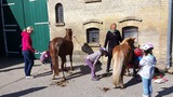 Ferienwohnung in Fehmarn OT Staberdorf - Landhaus 6, inkl. 1 Parkplatz - Bild 11
