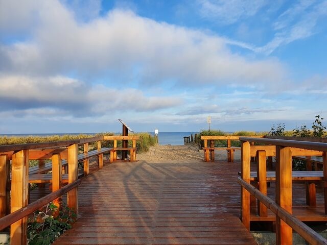Ferienwohnung in Ribnitz-Damgarten - Ferienhof SchilfMeer - Fewo "Seepferdchen" - Bild 22
