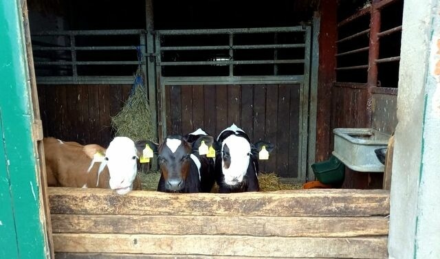 Ferienwohnung in Grömitz - "Pappelhof - Whg. 10" - Bild 24