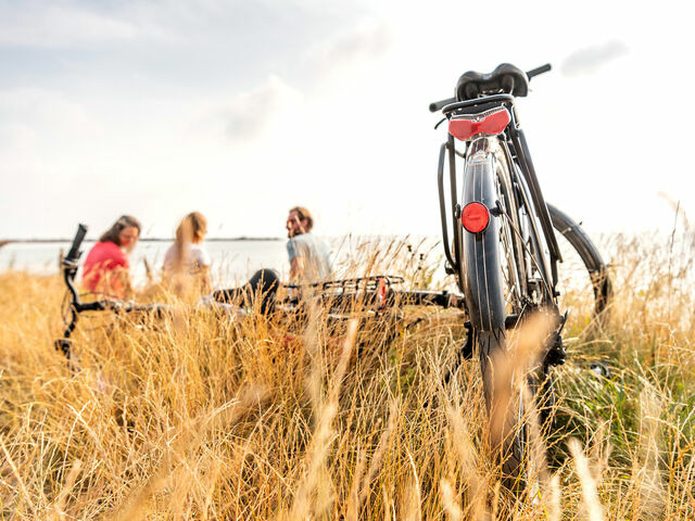 Ferienhaus in Damp - Nurdachhaus in Damp an der Ostsee - Bild 5