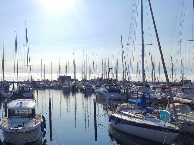 Ferienhaus in Damp - Nurdachhaus in Damp an der Ostsee - Bild 11