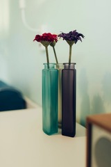 Ferienwohnung in Fehmarn OT Lemkenhafen - Meerblick Lemkenhafen - Bild 4