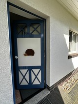 Ferienwohnung in Zingst - Igel - Bild 3
