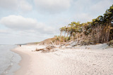 Ferienwohnung in Ahrenshoop - Meerblick 3 - Bild 10