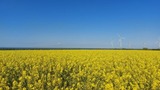 Ferienhaus in Fehmarn OT Presen - Ferienh&auml;uschen Deichliebe auf Fehmarn - Bild 10
