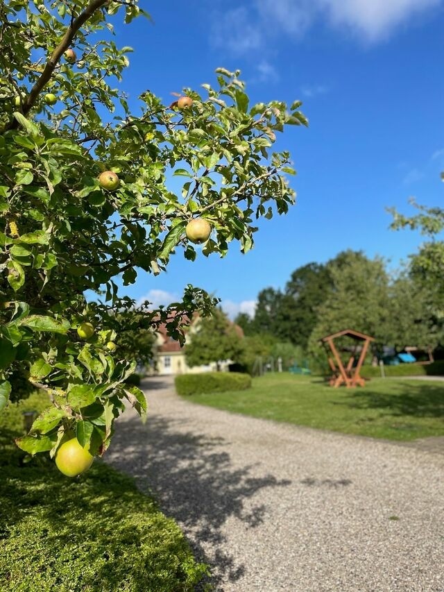 Ferienwohnung in Fehmarn OT Wulfen - Luise von der Wiese - Bild 24