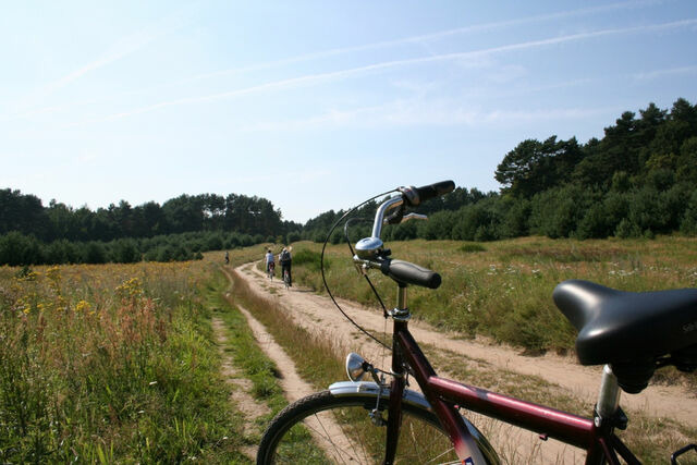 Ferienhaus in Baabe - Seewind - Baabe - Bild 23