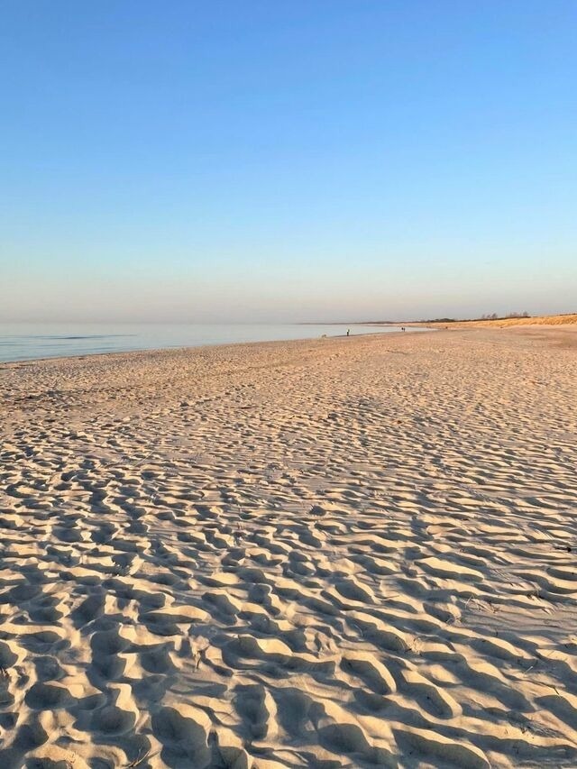 Ferienwohnung in Dierhagen - Meeresrauschen 03 - Bild 19