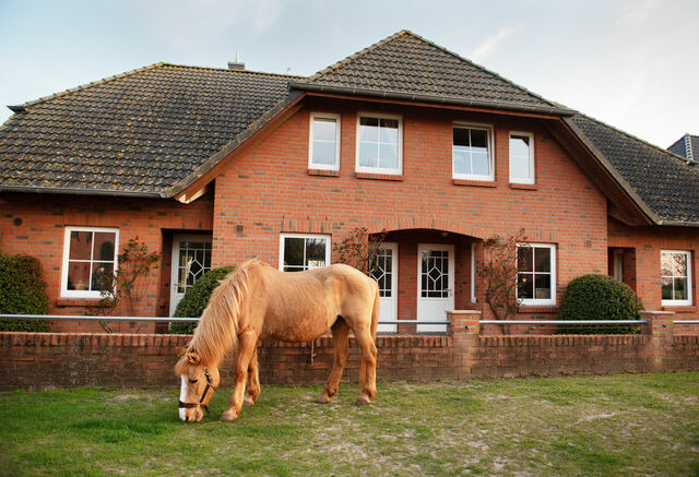 Ferienwohnung in Fehmarn OT Neujellingsdorf - Bauernhof H&ouml;per-Rauert - Reihenhaus 6 - Bild 19