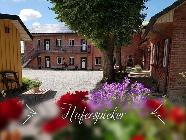 Ferienwohnung in Mittelangeln - Haferspieker - Bild 2
