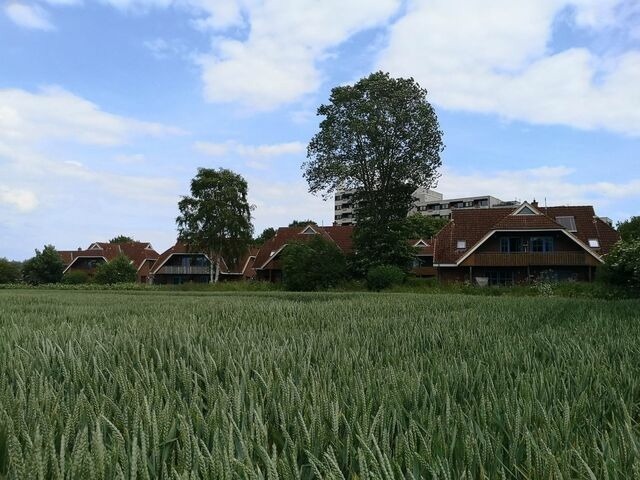 Ferienwohnung in Dahme - Jacobihof Haus 3 Wohnung 02 - Bild 3