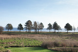 Ferienhaus in Glücksburg - Ferienhaus Außenförde - Bild 17