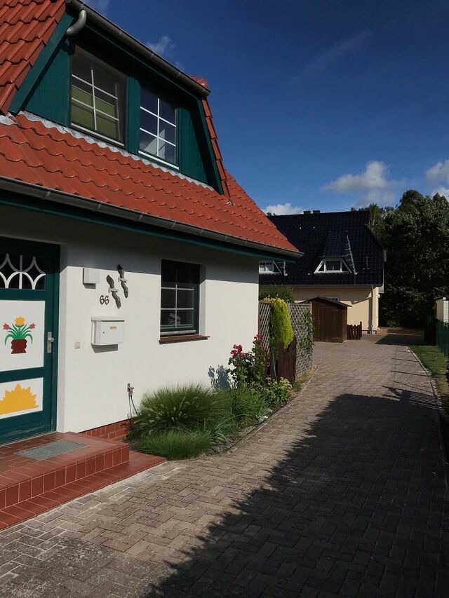 Ferienhaus in Zingst - Ferienhaus M&ouml;we - Bild 2