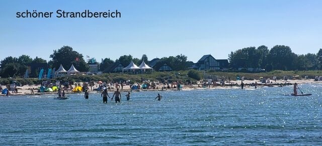 Ferienwohnung in Wendtorf - Austernfischer - Bild 11