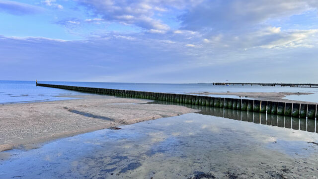 Ferienwohnung in Großenbrode - Möwennest 13 - Großenbrode - Bild 23