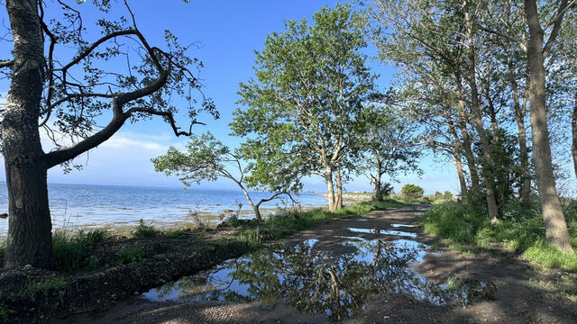 Ferienwohnung in Großenbrode - Möwennest 13 - Großenbrode - Bild 24