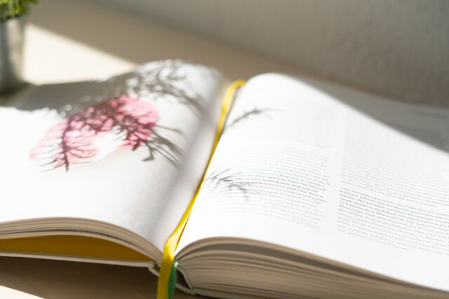 Ferienwohnung in Fehmarn OT Wulfen - Bargmöhl 7 Heber - Bild 16