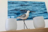 Ferienwohnung in Grömitz - Sonne und Meer Wohnung 3 - Bild 6