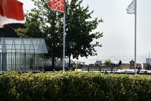 Ferienwohnung in Kellenhusen - Haus Seeblick Strandmuschel - Bild 12