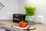 Ferienwohnung in Grömitz - Hanseat II Whg. 101 - Bild 16