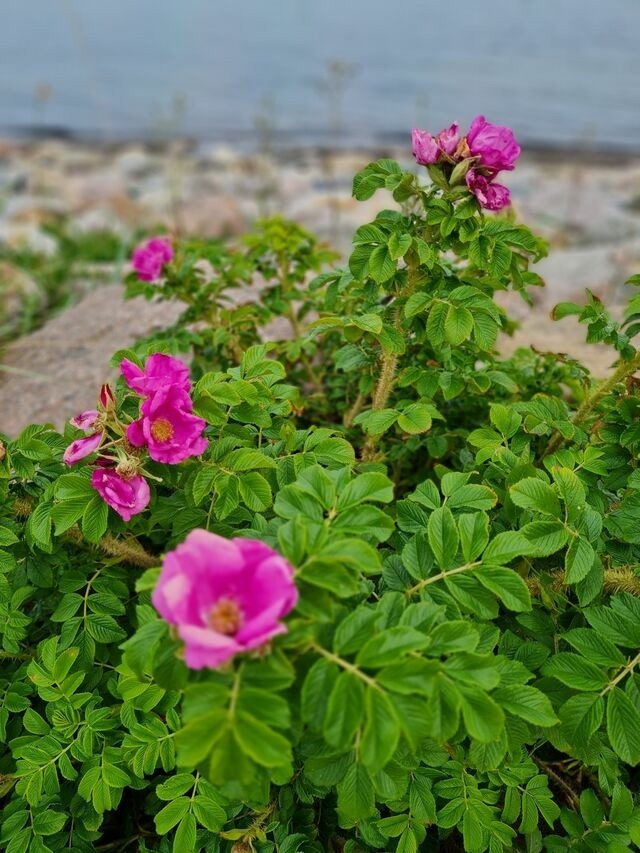 Ferienwohnung in Süssau - Meerjungfrau - Bild 21