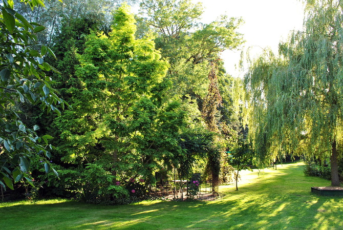 Ferienwohnung in Hagebök - Ferienwohnung Thiedmann - Bild 19