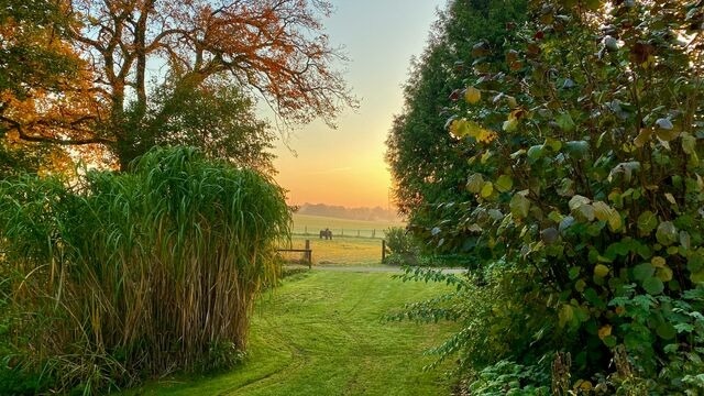 Ferienwohnung in Sch&ouml;nwalde - Wolkenkratzersuite - Bild 22