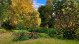 Ferienwohnung in Sch&ouml;nwalde - Wolkenkratzersuite - Bild 23