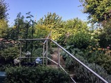 Ferienhaus in Sassnitz - Ferienhaus Jasmund direkt am Nationalpark Jasmund - Bild 14