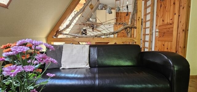 Ferienwohnung in Dierhagen Neuhaus - Ferienwohnung Hallier - Bild 11