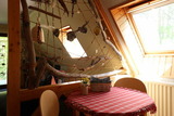 Ferienwohnung in Dierhagen Neuhaus - Ferienwohnung Hallier - Bild 17